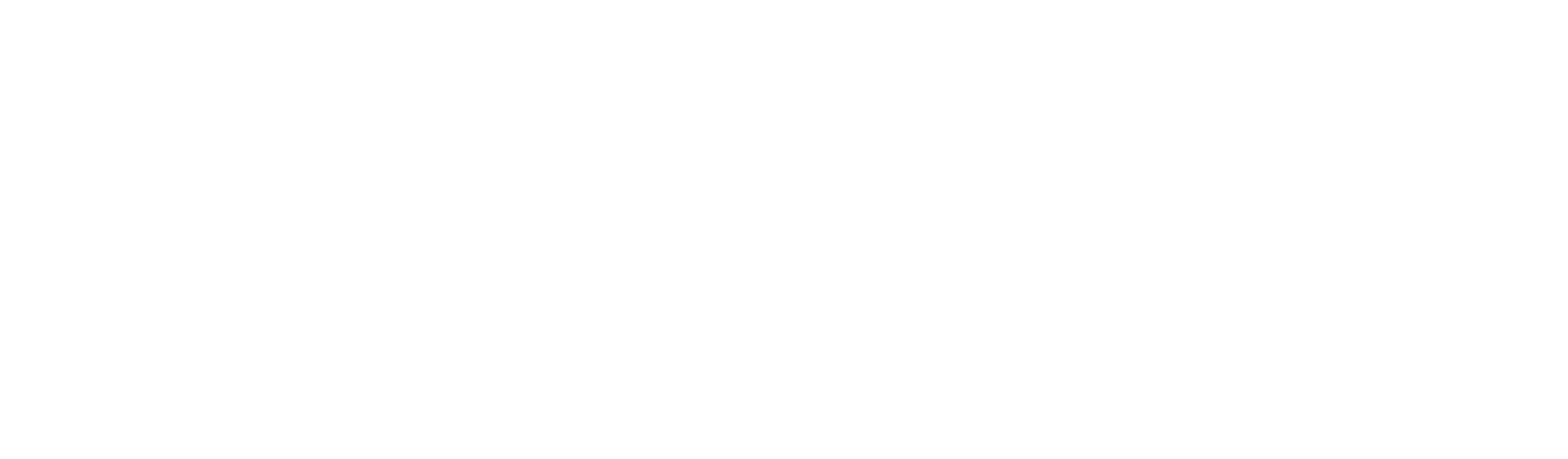 Brosnan Innovation Lab_White_Logo